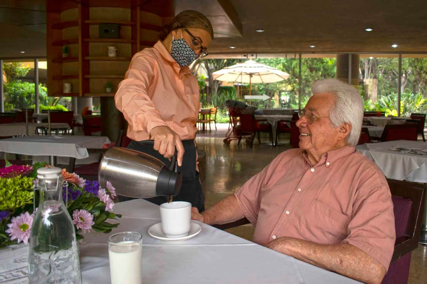 alimentacion